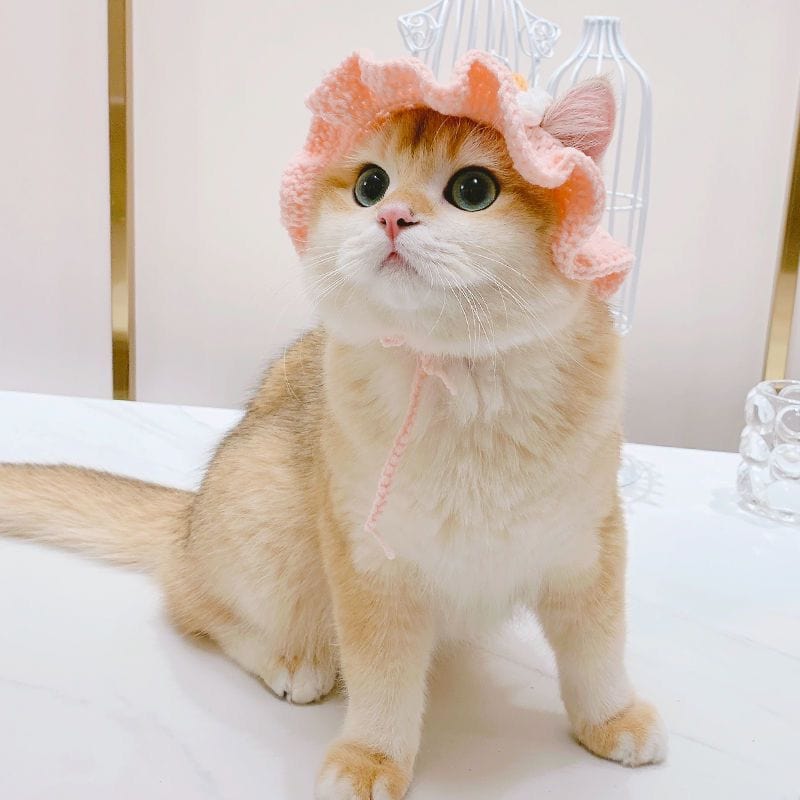 Knit cat hat with adjustable strap