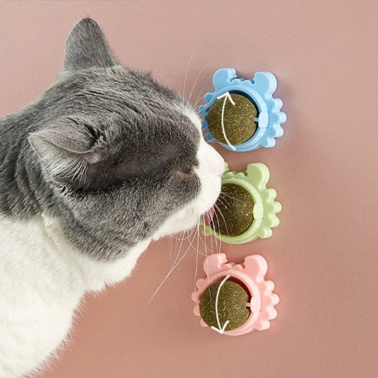 Catnip ball toy for cats Healthy Cat Catnip Toys Ball Cat Candy Licking Snacks Nutrition Catnip Snack Nutrition Energy Ball Kitten Cat Toy Cat Supplies