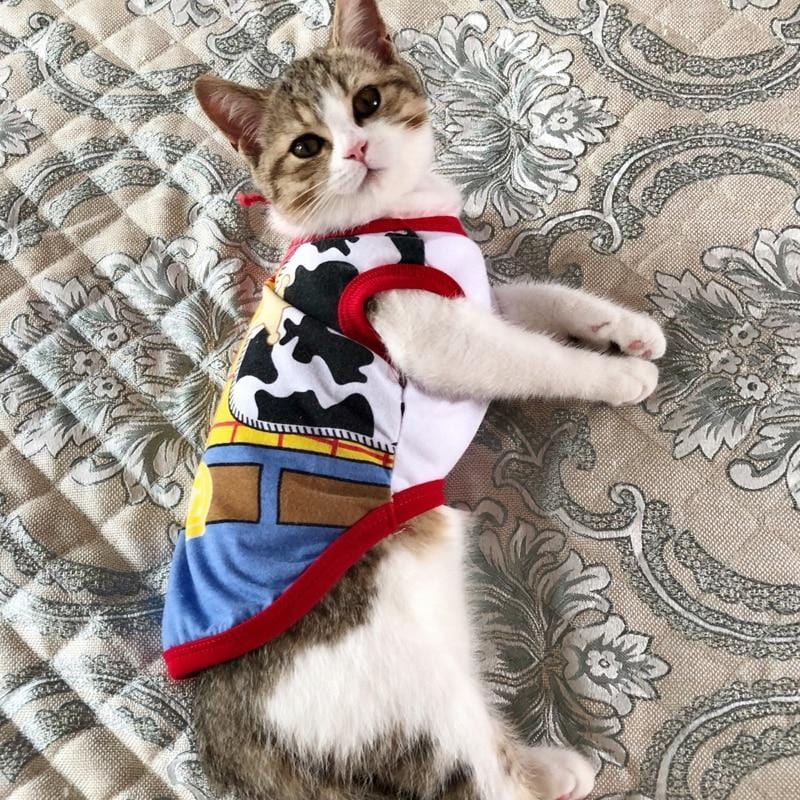 Summery vest for cats