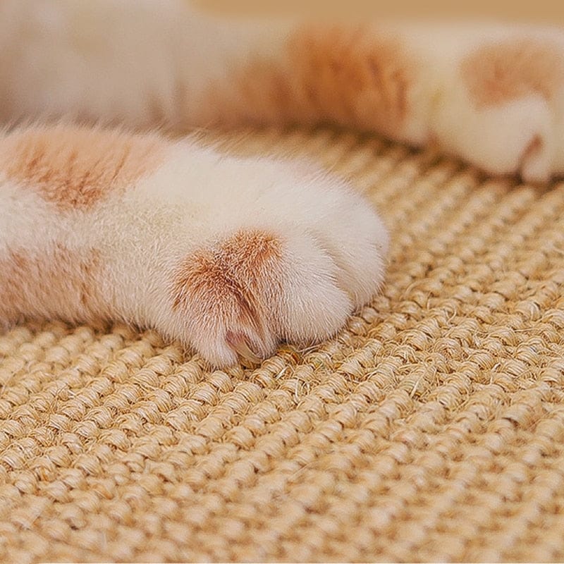 Cat scratcher board with sisal mat for claw care