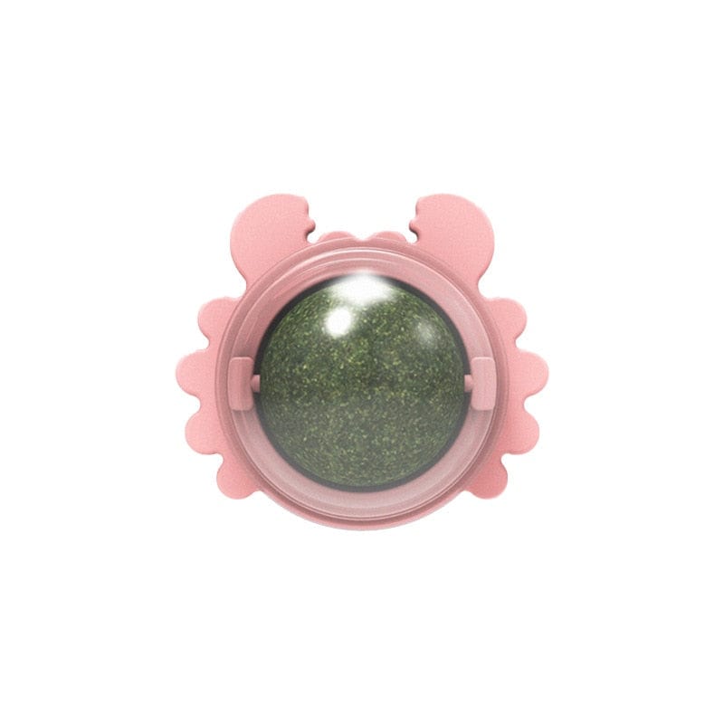 Catnip ball toy for entertainment treats for cats licking snacks