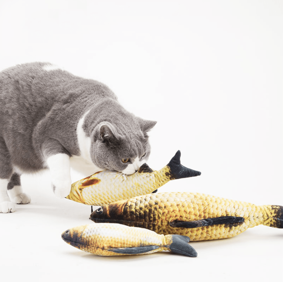 Fish Shaped Mint Stuffed Toy