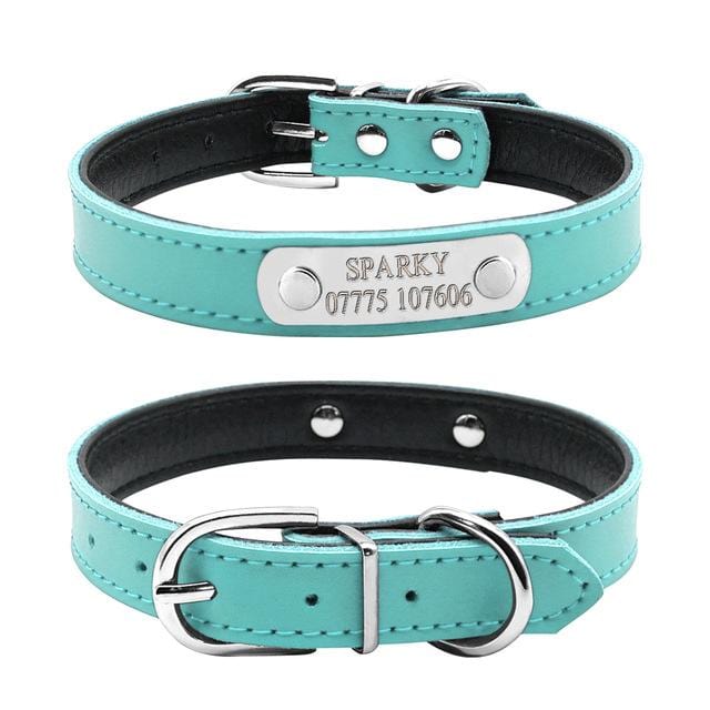dog collar with name on buckle
