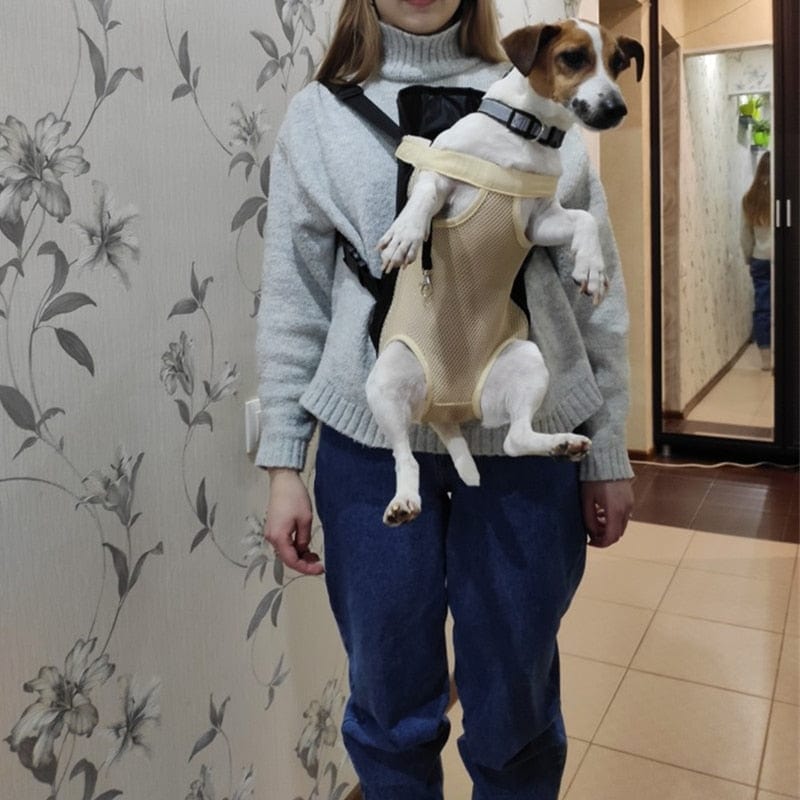 Foldable and compact cat backpack carrier for easy storage backpack for dog chihuahua