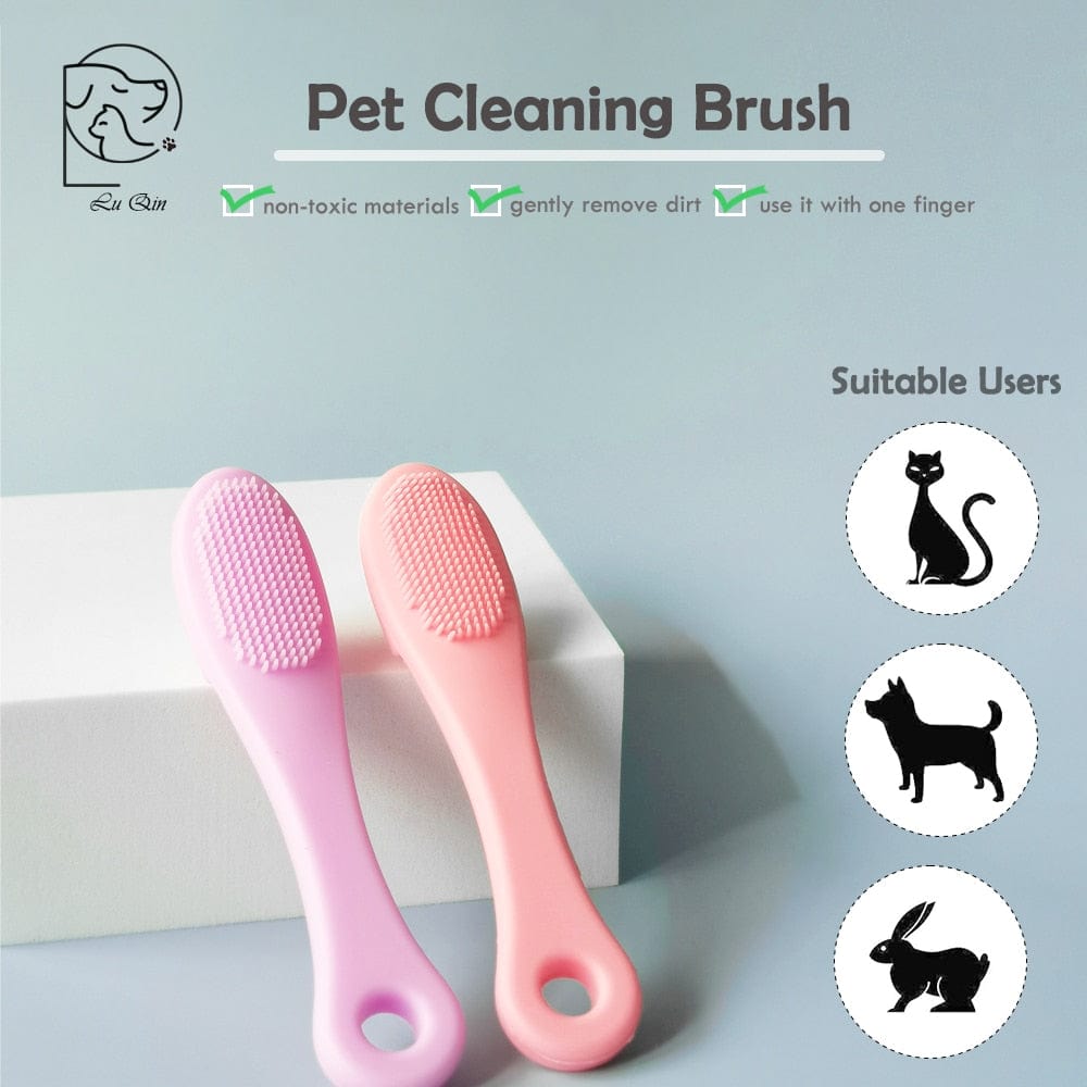 brushes with cat