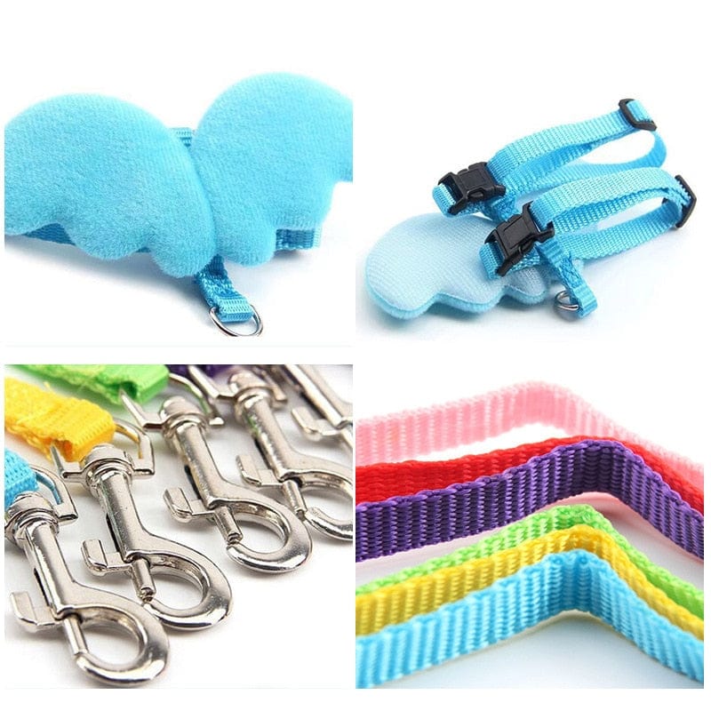 Fashionable cat harness and leash with angel wings