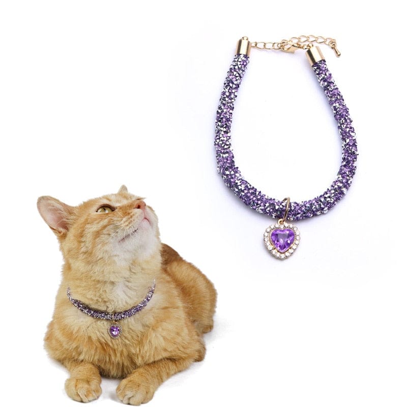 Designer heart pendant pet collar