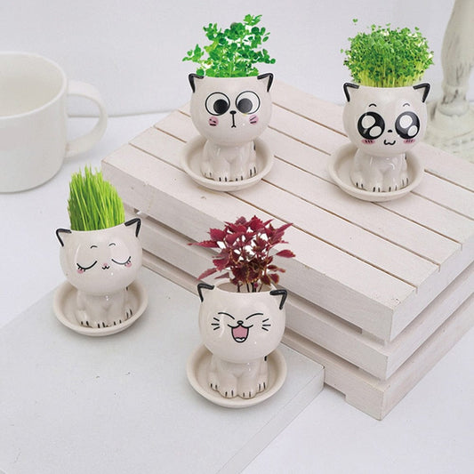 Adorable ceramic mini planter heads,Ceramic Flowerpot Mini Cat Shaped Cartoon Cute Potted Plant Desktop Potted Expression Cat Plant Pot Desk Decorate Small Ornament