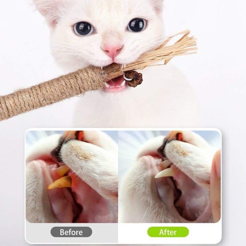 Hypoallergenic cat teething toy