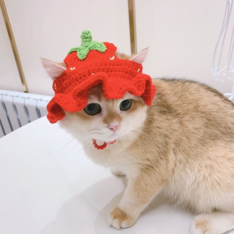 Cute cat beanie with adjustable fit a hat for dog