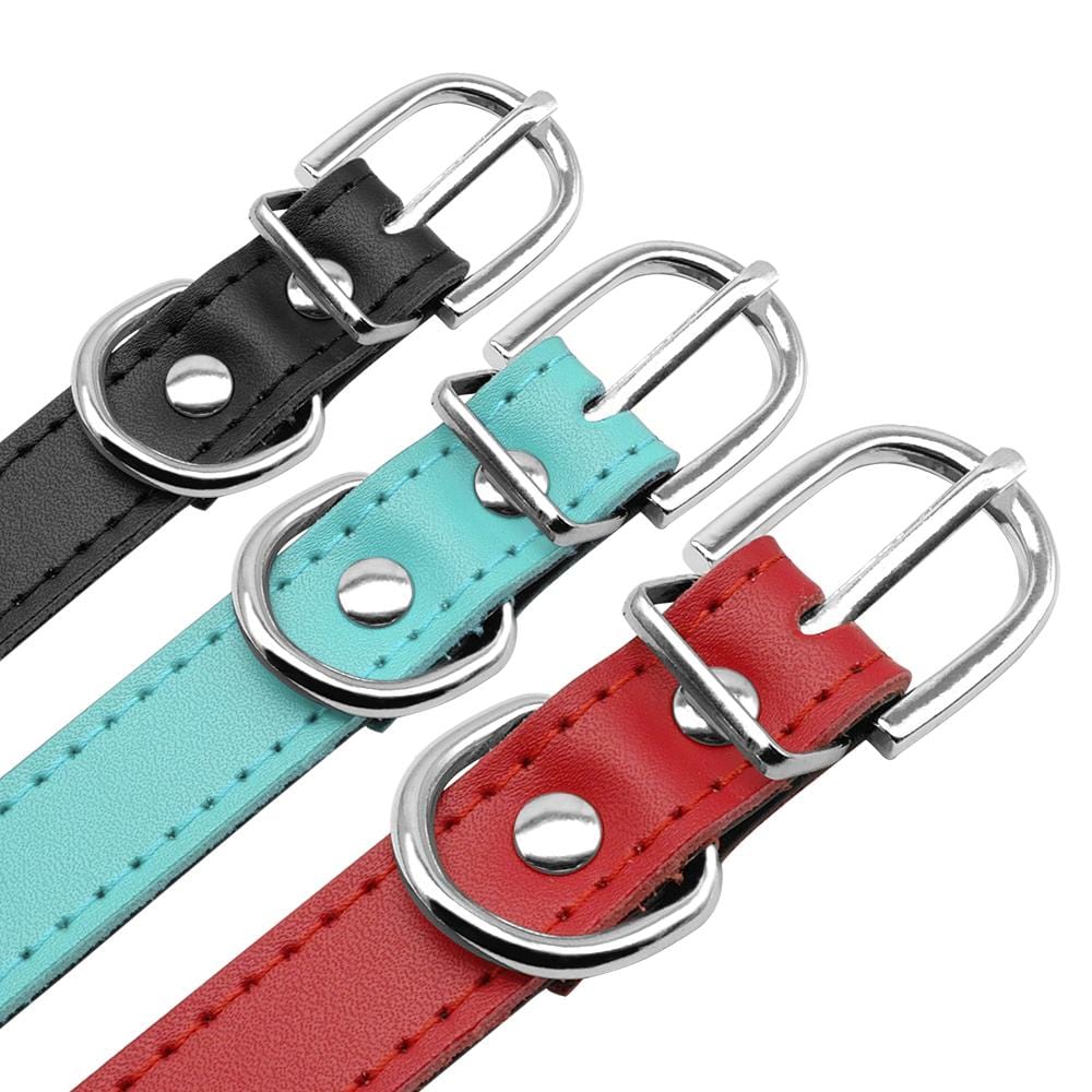 Personalized Dog Collar, Custom Engraving with Pet Name