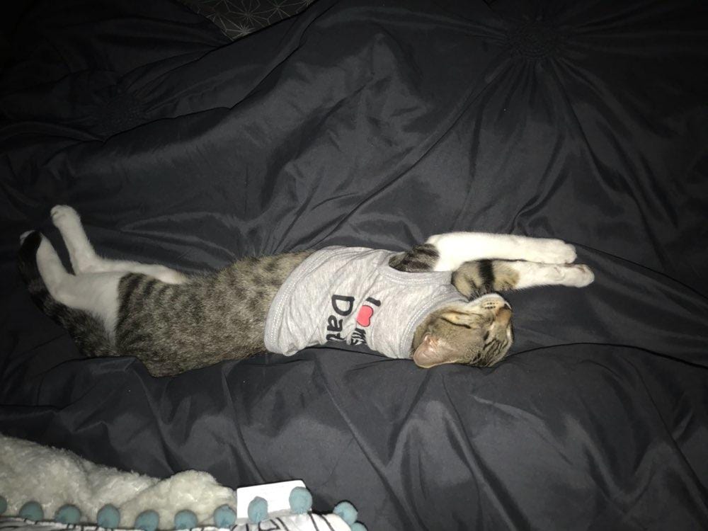 Pet Dog Puppy Cat Clothes Vest Doggie I Love Mommy/Daddy Coat Apparel T-Shirt Costumes