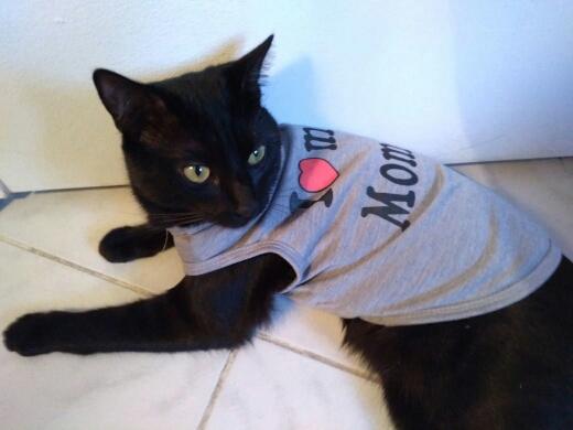 Warm Cat Clothes Winter Pet Puppy Kitten Coat Jacket For Small Medium Dogs Cats