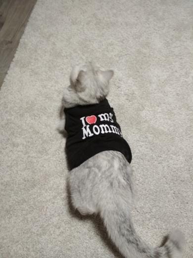 Cute Pet Puppy Cat Warm Jumper Sweater Bow Knitwear Coat Apparel Clothes Sweatershirt Winter Flannel Small Dog Chihuahua Yorkshire Hoodie Clothes Dog jacket