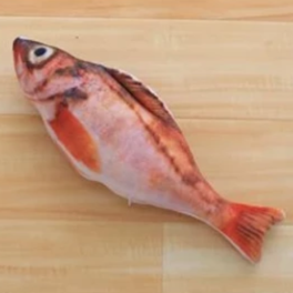Toy for Cat Kitten Mint Favor Fish Toys Stuffed Scratch Board for Pets