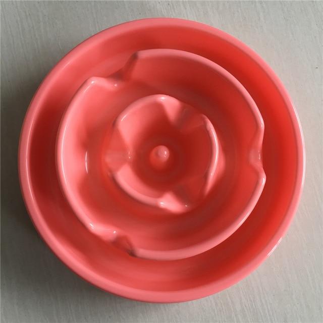 Best cat slow feeders and puzzle feeders