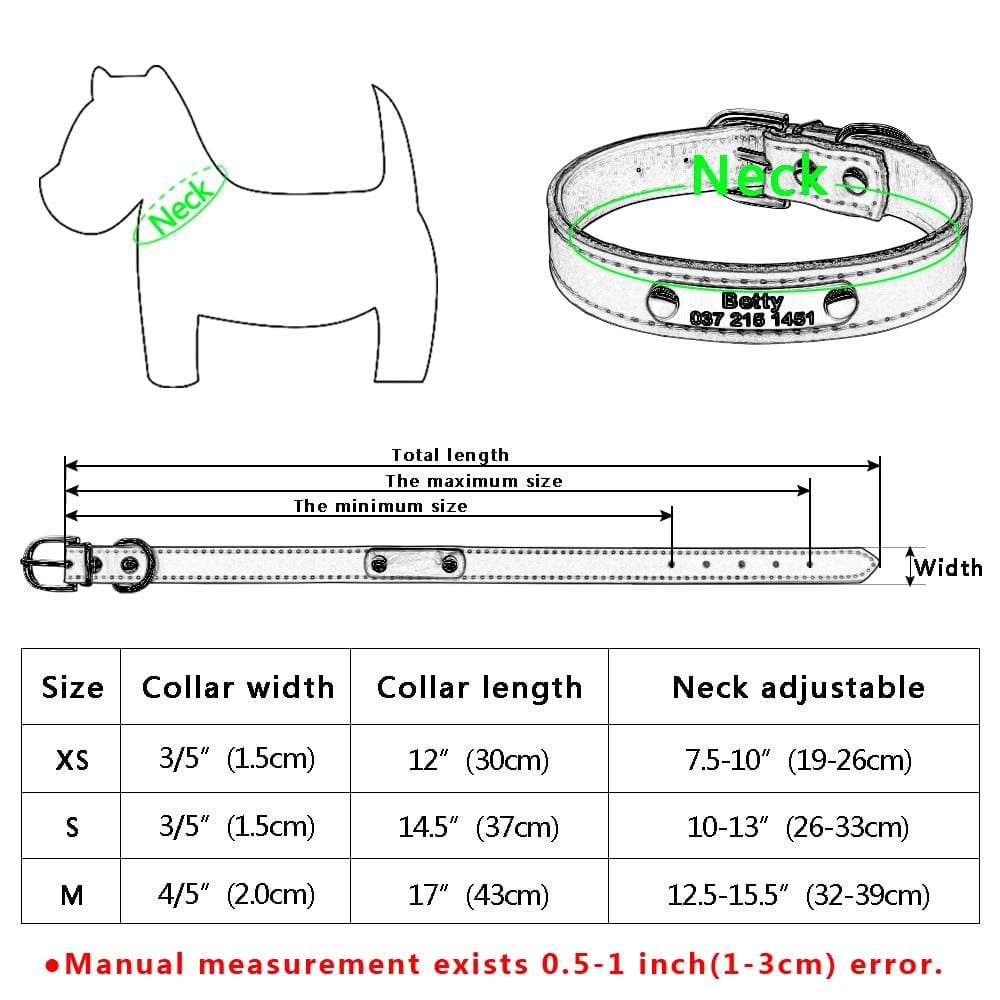 Engraved Cat Collars, Reflective & Breakaway