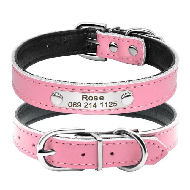 Custom Personalized Cat Collars