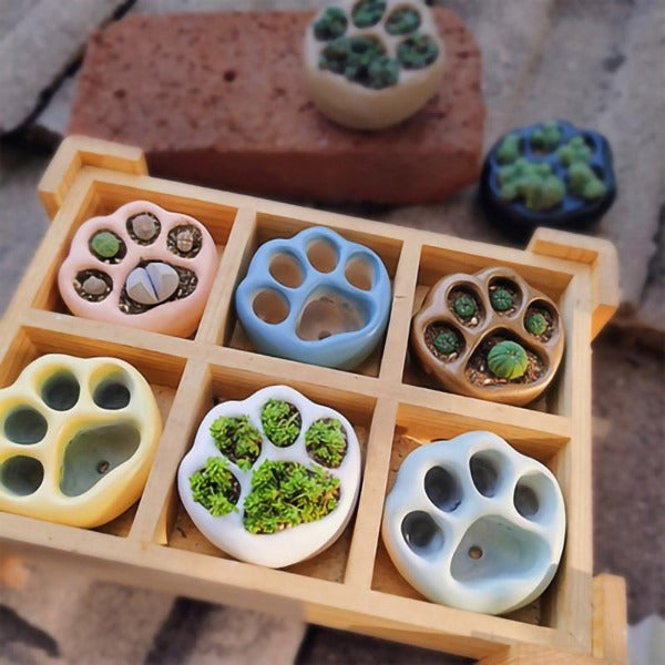 Multicolor Cat Paw Flower Pot