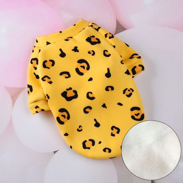Snuggly cat outfit