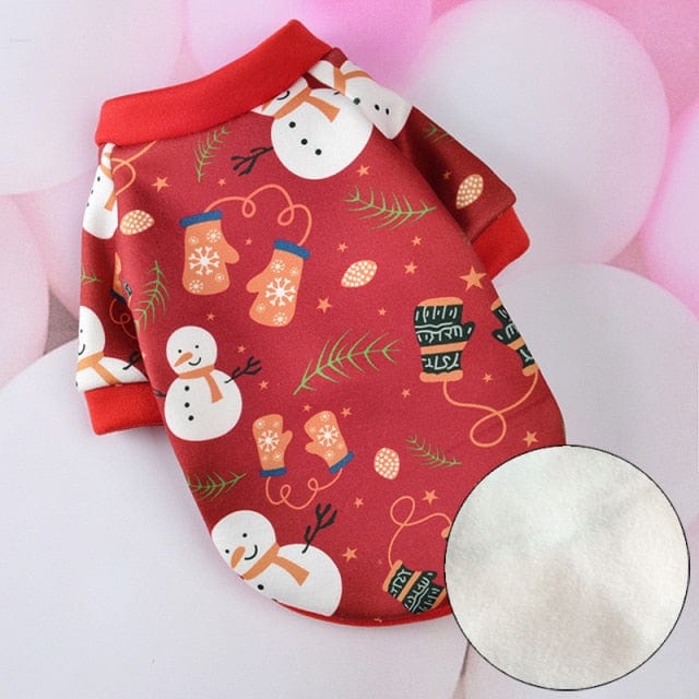 Comfy cat costume sphynx clothes for cats