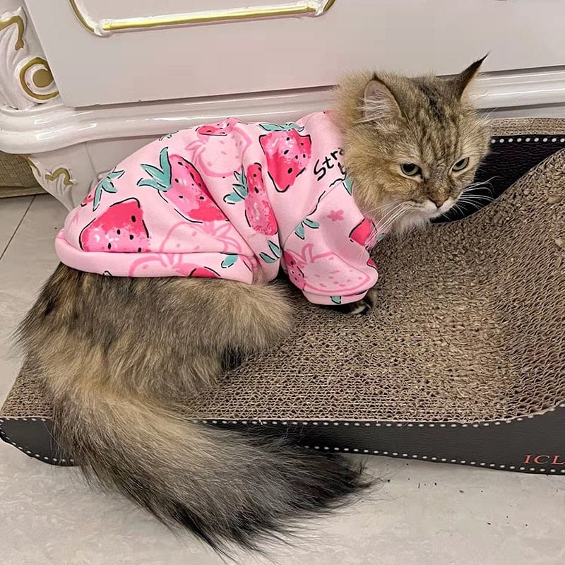 Cosy cat apparel