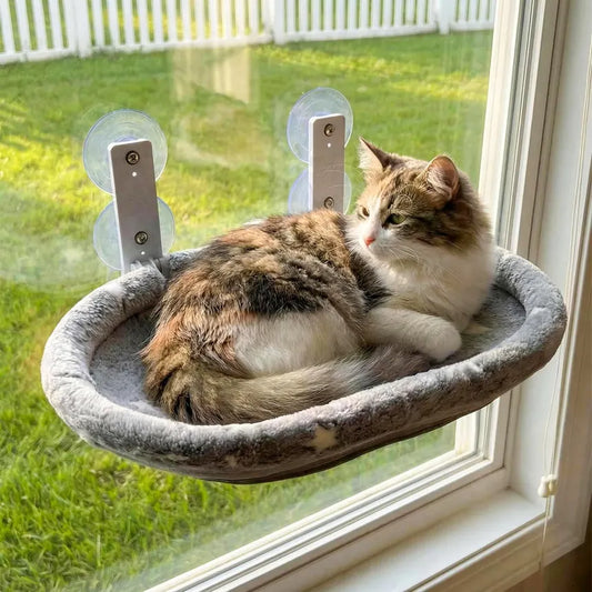 How to Find the Best Window Perches for Your Curious Indoor Cat