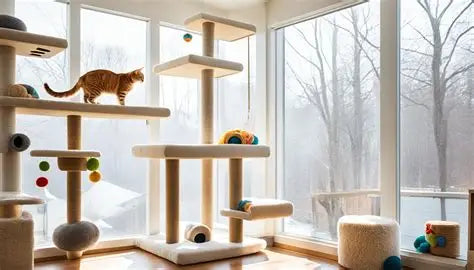 What Your Home Reveals About You as a Cat Parent Tells It All