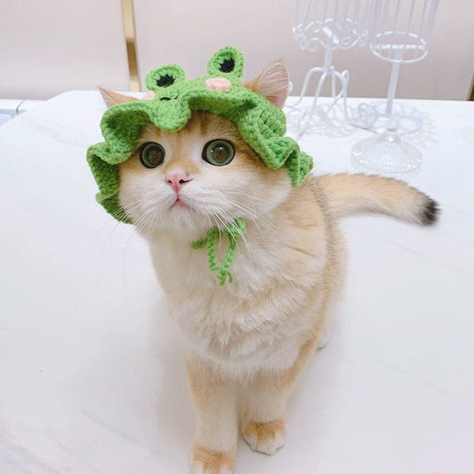 Dress Your Feline in Style: Must-Have Cat Clothing for Every Occasion