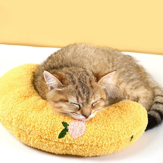 Warm & Cozy Blankets and Pillows for Cats
