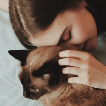 Celebrate being a crazy cat lady in 10 completely sane ways