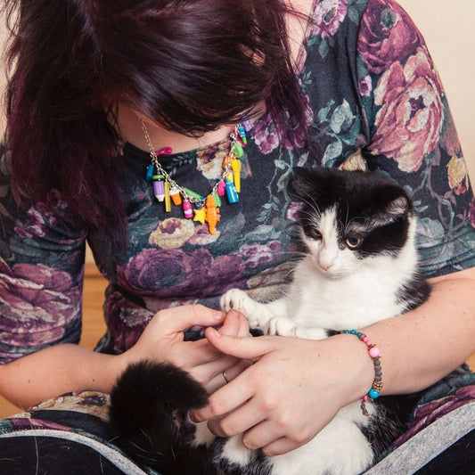 10 Things Every Cat Parent Can Relate To...