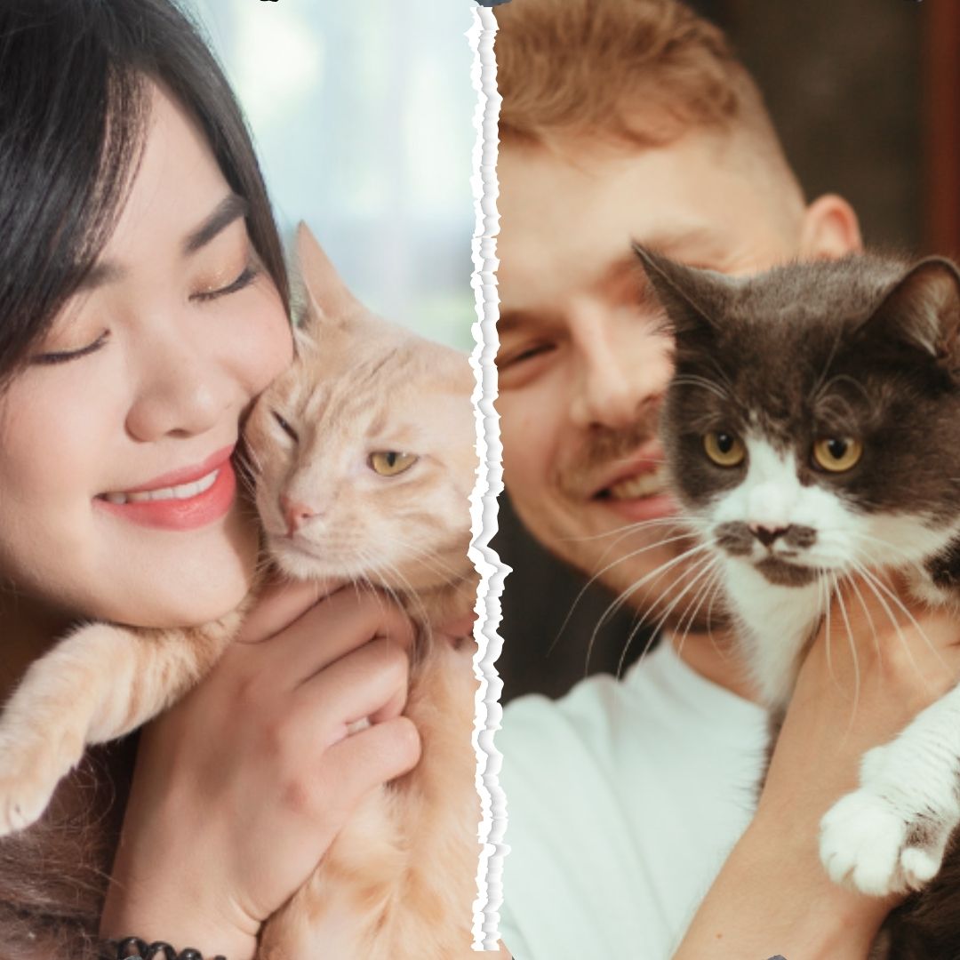 Are Cats More Fond of Female Owners than Male Owners?