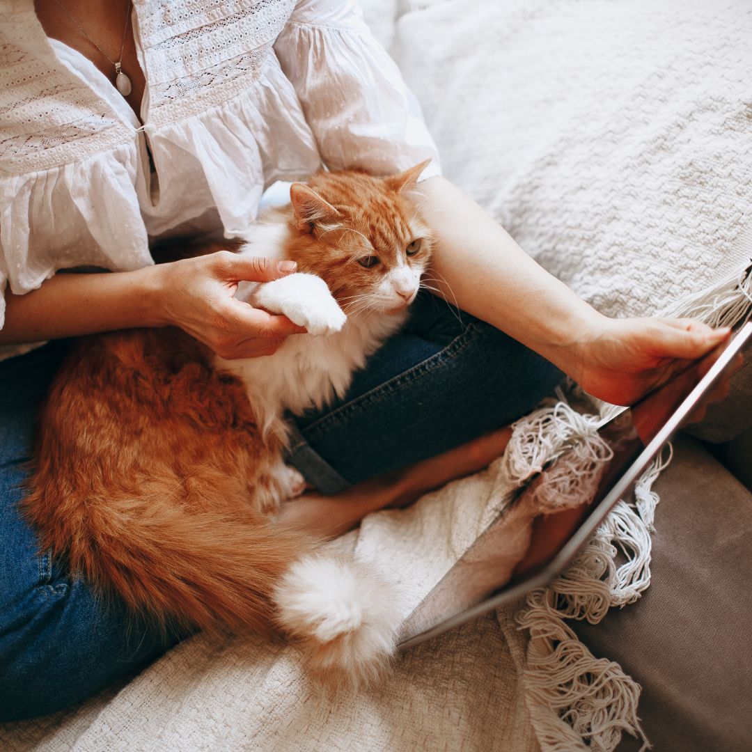 Why your cat sleeps on you