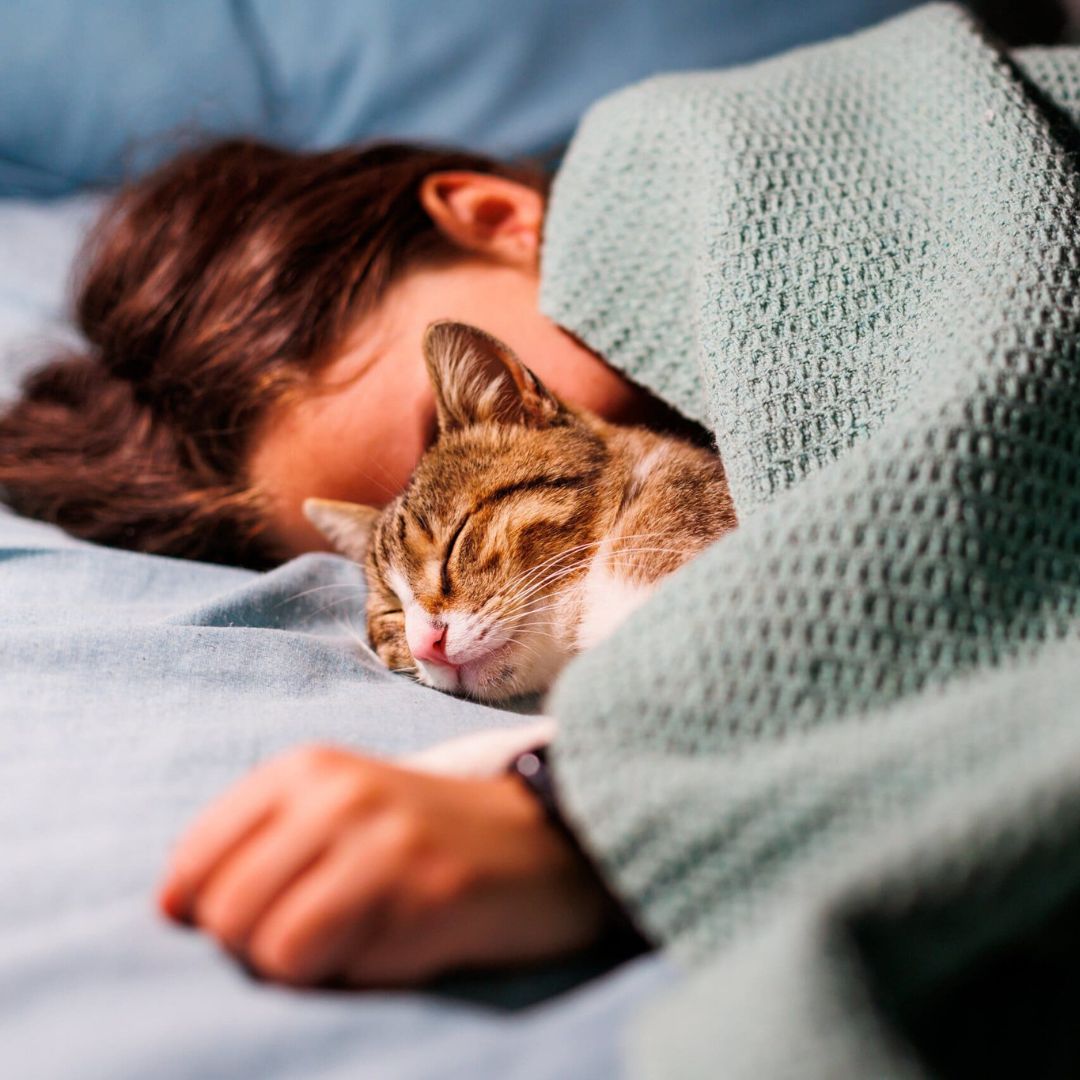 Why Your Cat Sleeps with You EVERY NIGHT: 9 Surprising Scientific Reasons