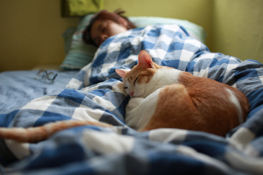 Should You Really Let Your Cat Sleep With You? What Science Says