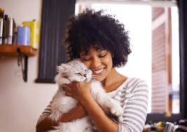 Can Cats Recognize Their Owners? Understanding Feline Recognition