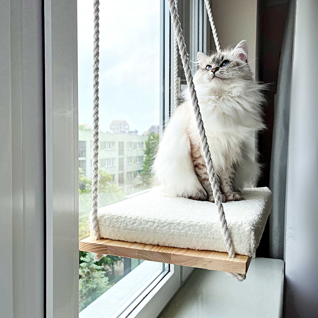 How to Build the Perfect Window Paradise for Your Indoor Cat Today