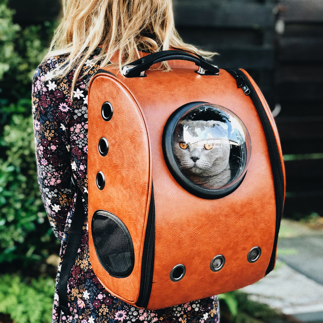 10 reasons why you should be that crazy cat lady!