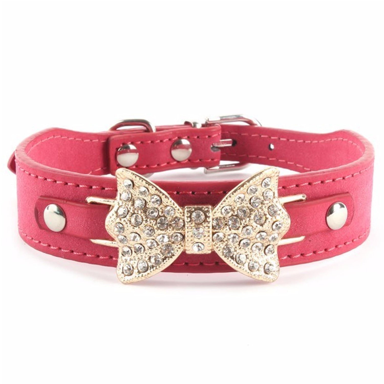Collars & Leads