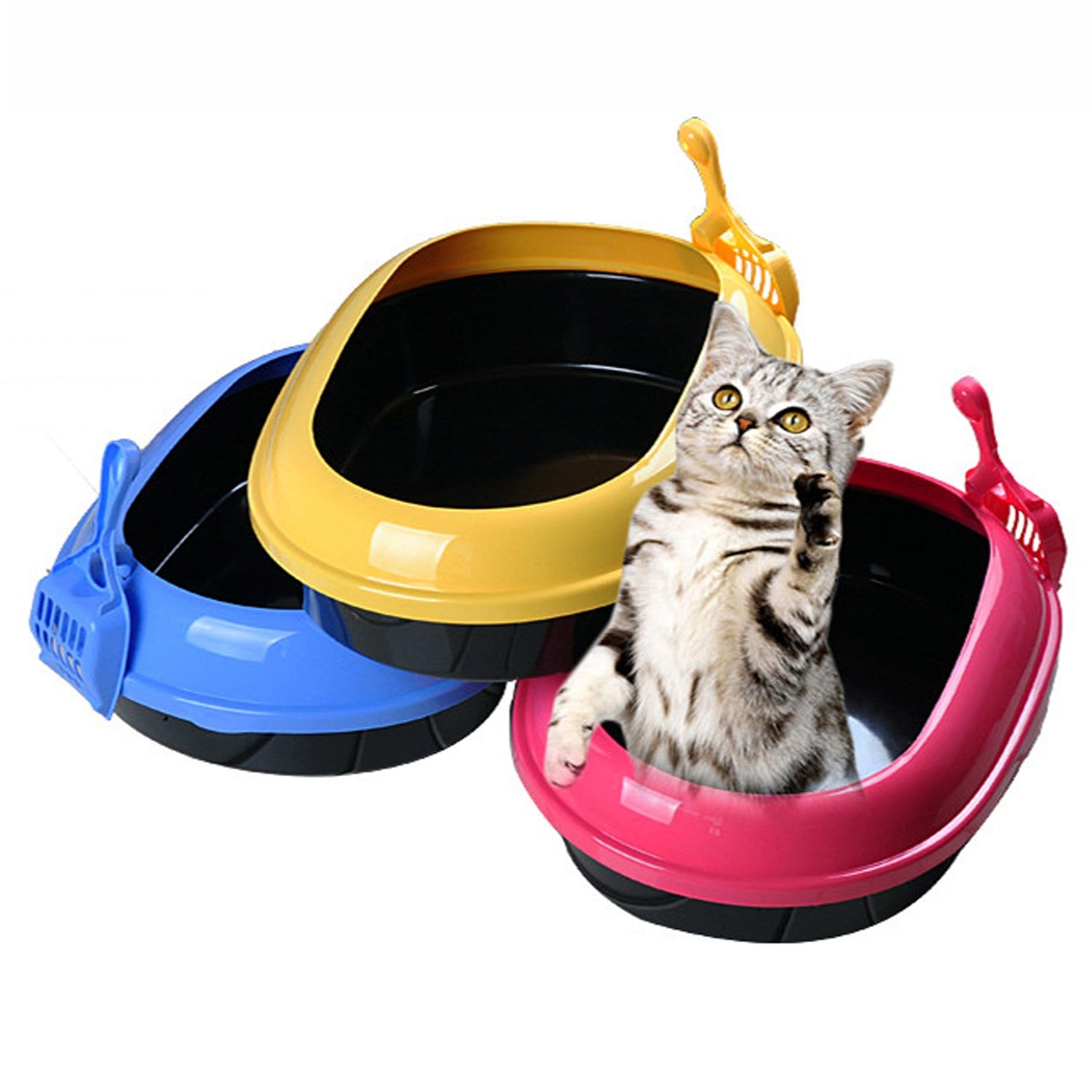 Litter Box & Waste Disposal