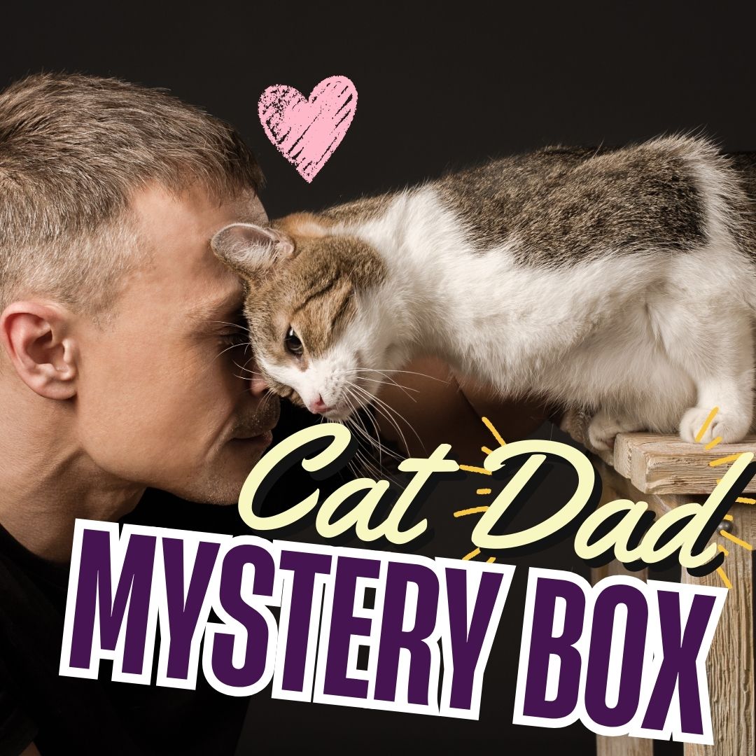 Cat Dad Mystery Box