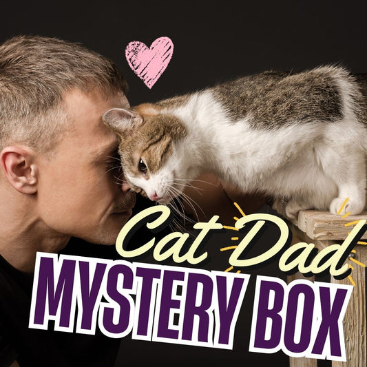 Cat Dad Mystery Box