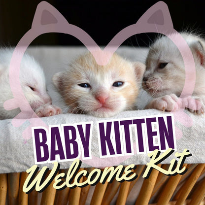 Baby Kitten Welcome Kit