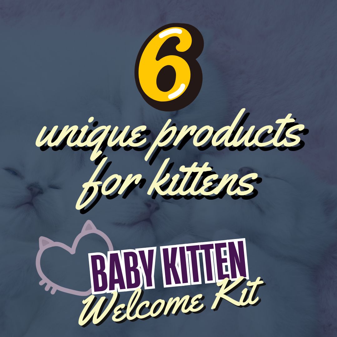 Baby Kitten Welcome Kit