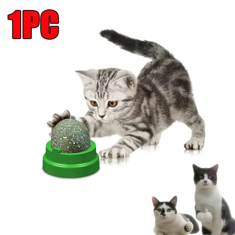 Cat playing with a green toy ball on a white background