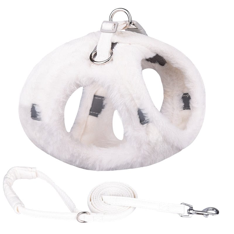 Elegant feline harness with leash combo