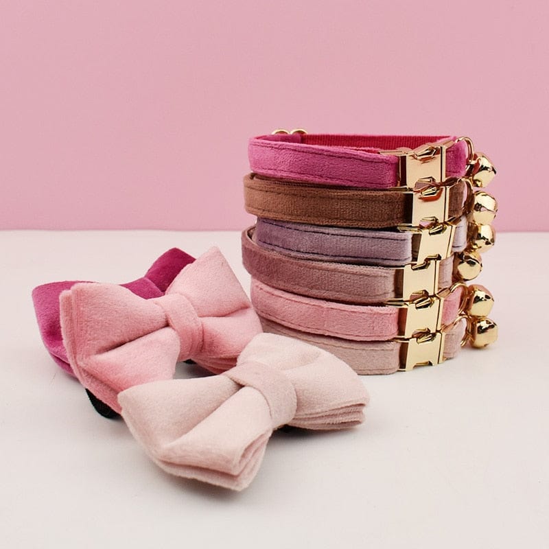 Velvet bow-tie collars with engraved nameplate for cats