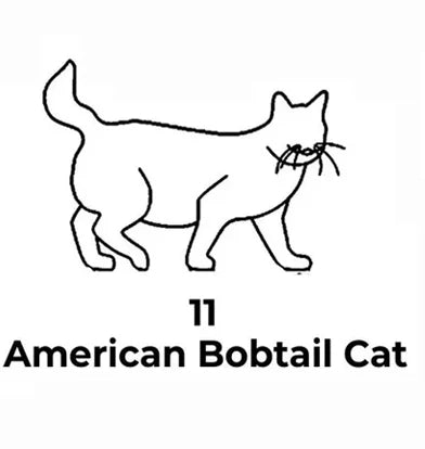 Black line drawing of an American Bobtail cat with text on a white background