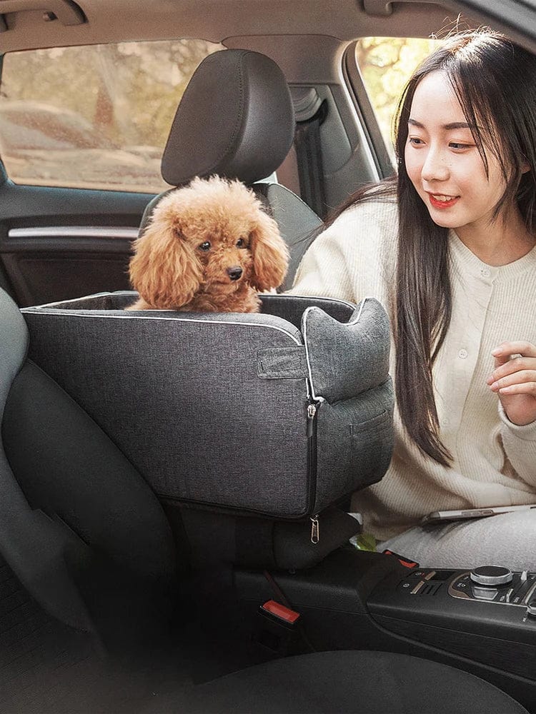 Best cat car safety seat with safety lanyard


